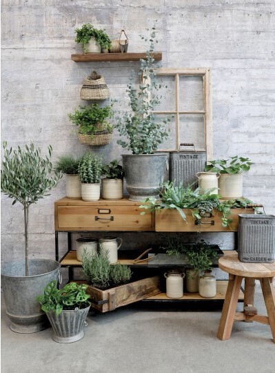 An alternative use for the Montpelier is to display an array of plants and ornaments.