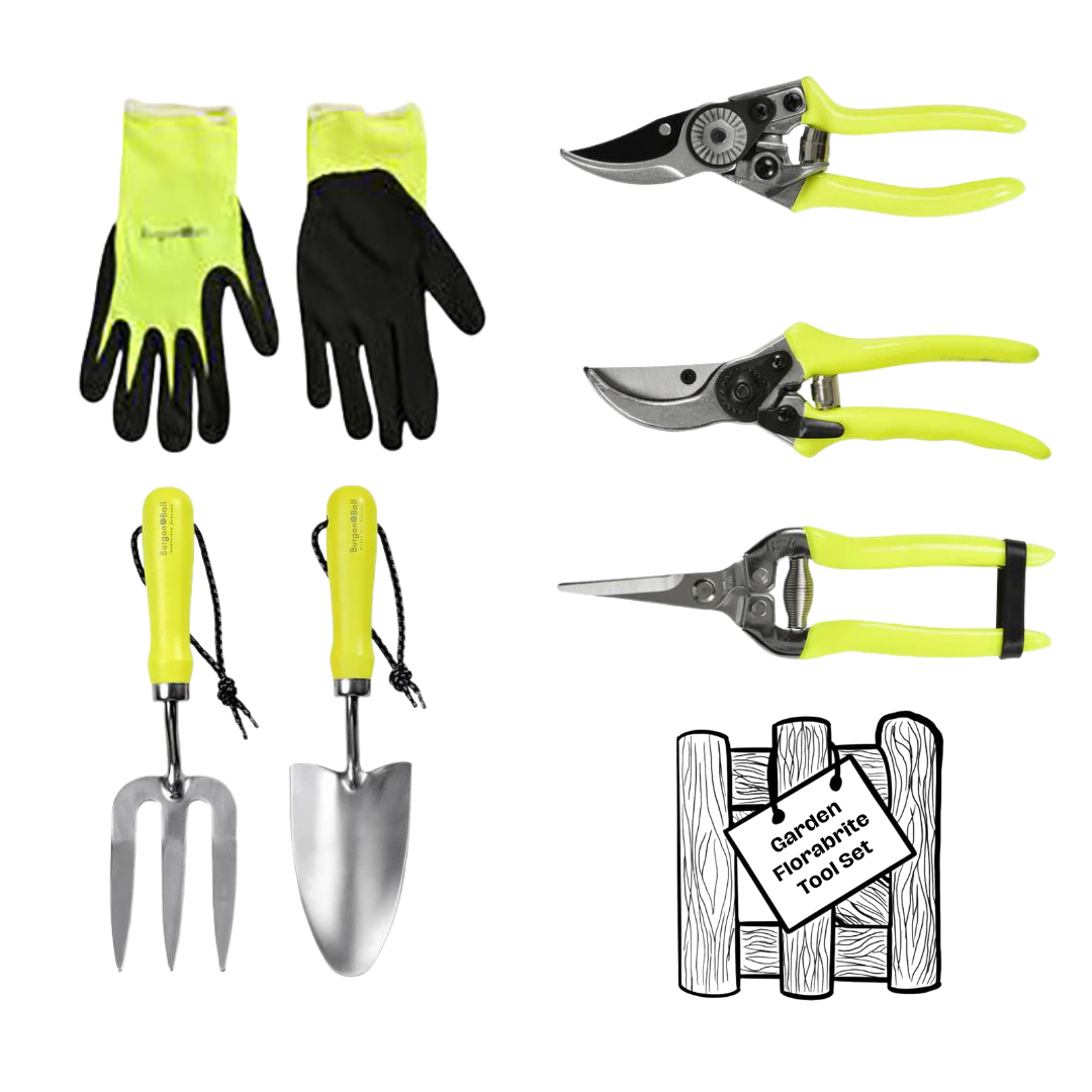 Burgon & Ball Florabrite Yellow Garden Tool Set
Fluorescent Yellow finish
Gloves, Hand Trowel, Hand Fork, Bypass Secateurs, Pruner Secateurs and Snips