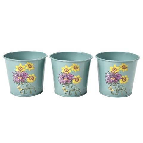 Asteraceae Design.  Light Duck Egg Blue with three yellow flowers and one purple flower design.
Set of three pots.