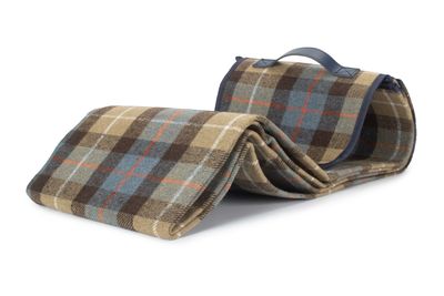 Luxury Ravenstor Picnic Blanket
Tartan Fabric:  Beige, light blue squares, brown large stripes and thin white and red lines.