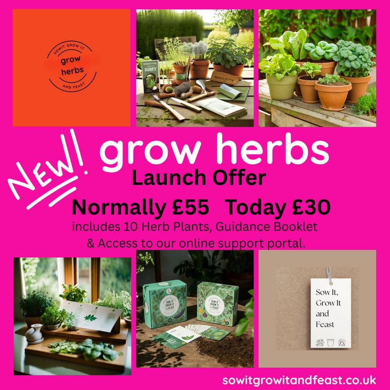 Sow It Grow It and Feast! Grow Herbs New! Grow Herbs. Lunch offer Normally £55 Today £30. Images of herbs and sowitgrowitandfeast.co.uk grow herb kit