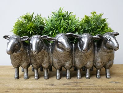 Baasil Sheep Planter. Row of Silver finish Sheep creating an indoor planter.