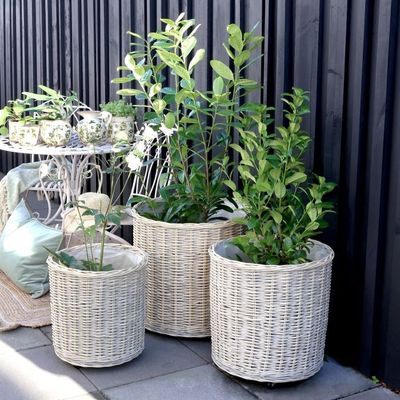 Set of three round woven willow baskets in graduated sizes, each on wheels, ideal for laundry, blankets or everyday storage