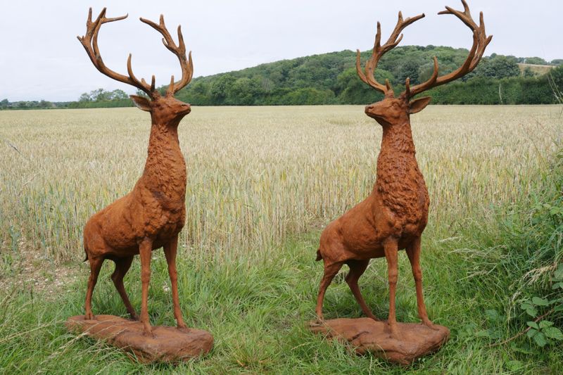 Pair of Grampion Rusty Stags - one looks left one look right.