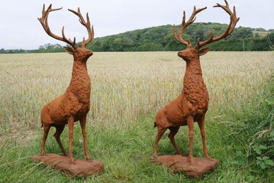 Pair of Grampion Rusty Stags - one looks left one look right.
