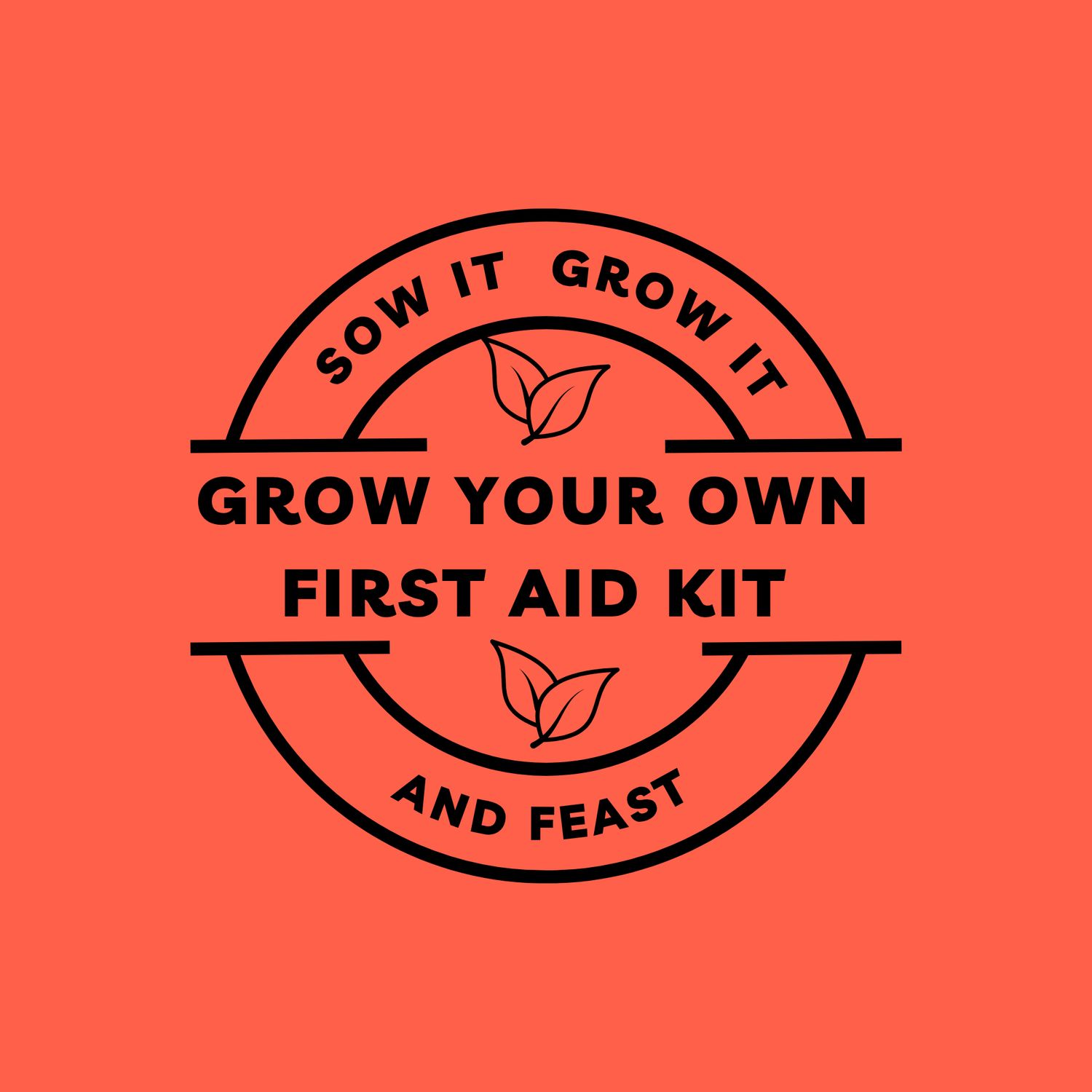 sowitgrowitandfeast.co.uk - Grow your own First Aid Kit