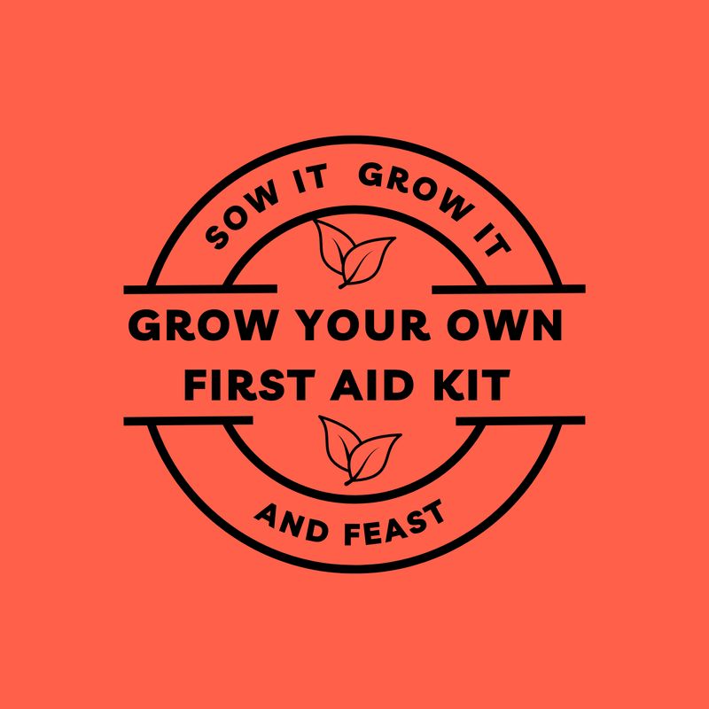 Sow It, Grow It and Feast! Grow Your Own First Aid Kit sowitgrowitandfeast.co.uk - Grow your own First Aid Kit