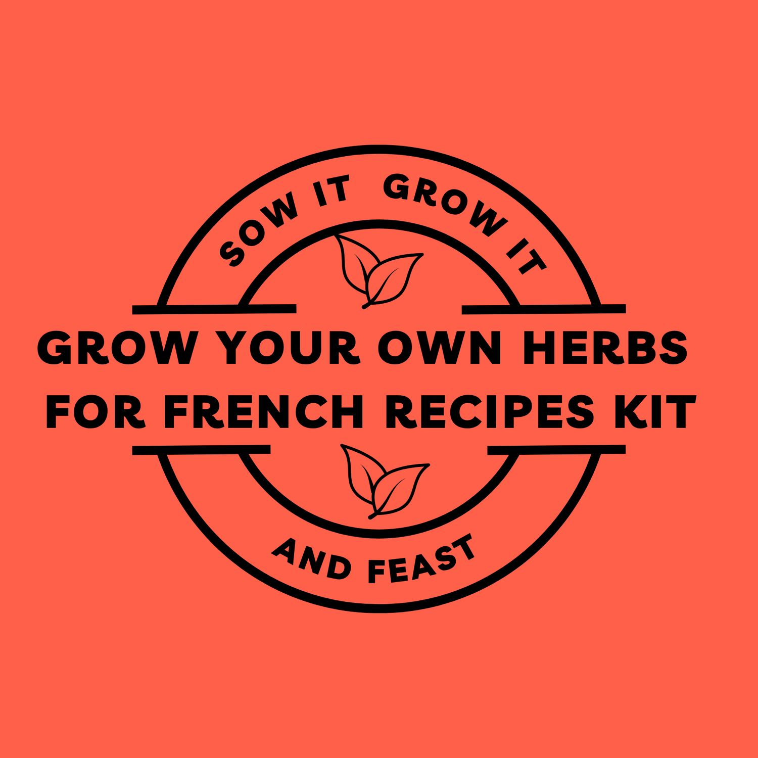 Grow Your Own Herbs for French Recipes Kit