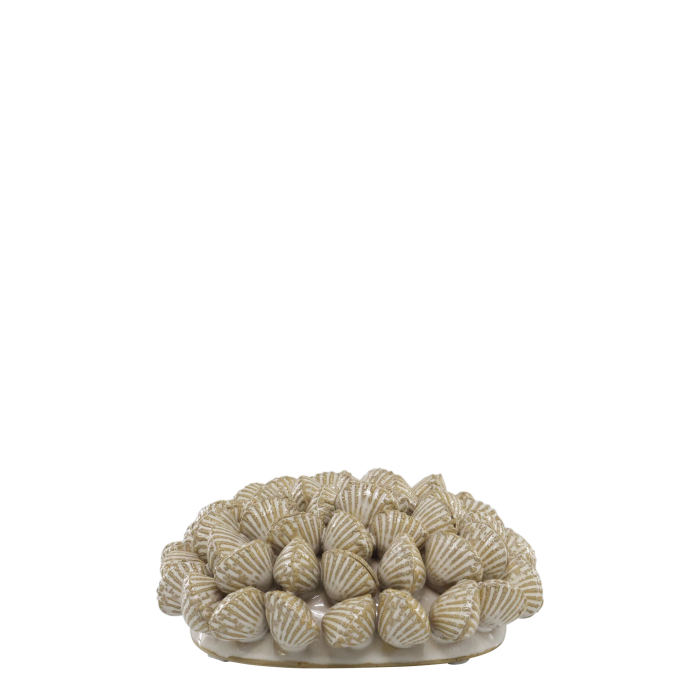 Decorative shell ornament crafted from clustered white seashells, displayed on a wooden table in a coastal setting.
