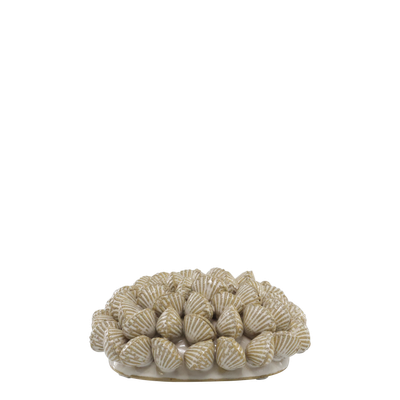 Decorative shell ornament crafted from clustered white seashells, displayed on a wooden table in a coastal setting.