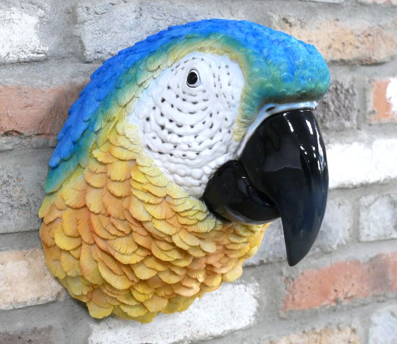 Colourful blue and yellow macaw parrot head ornament with detailed feathers, white face and large glossy black beak.