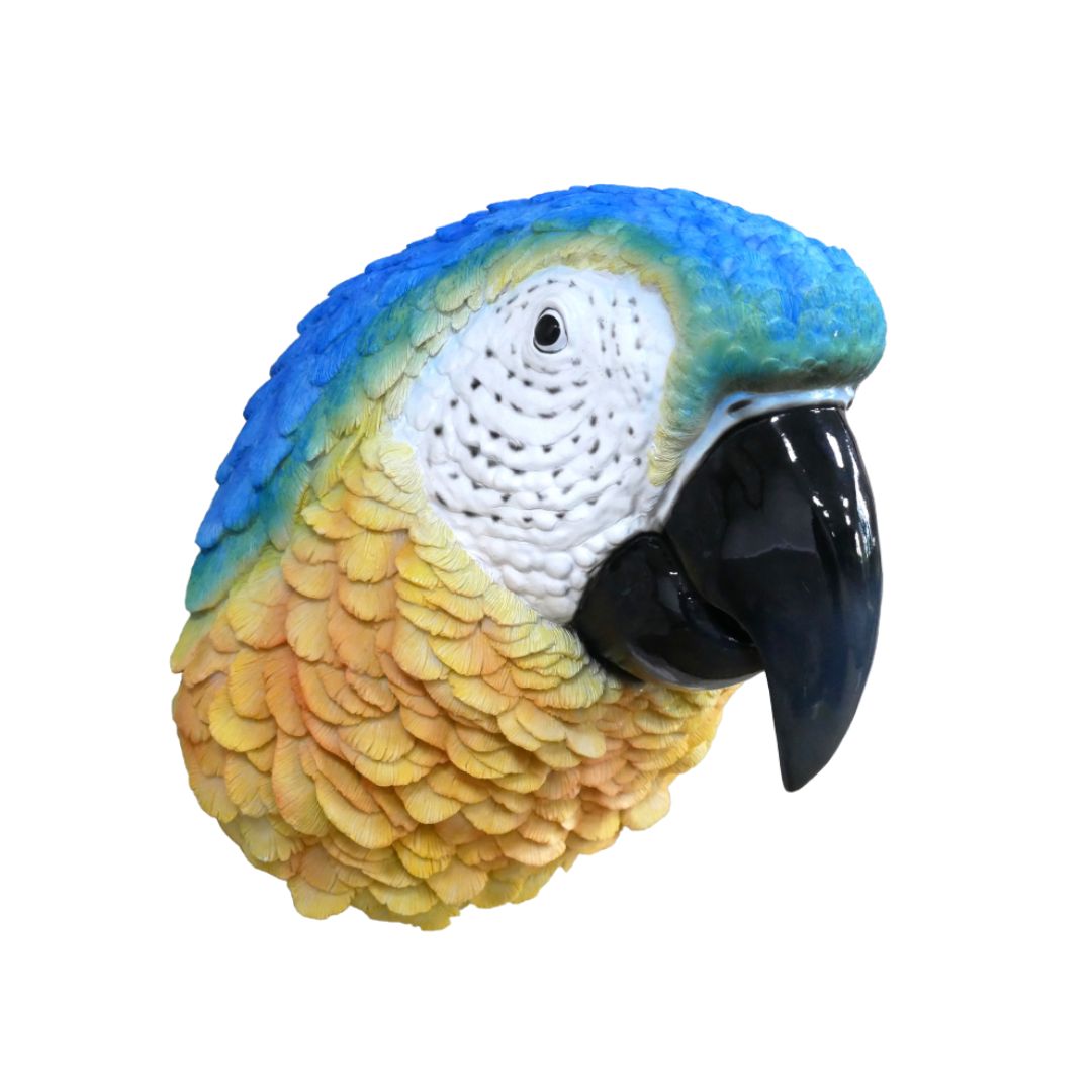 Colourful blue and yellow macaw parrot head ornament with detailed feathers, white face and large glossy black beak.