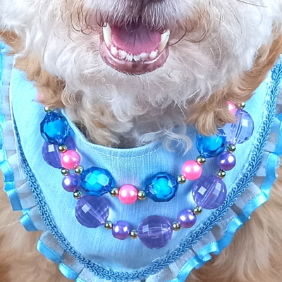Paw Jems Necklace