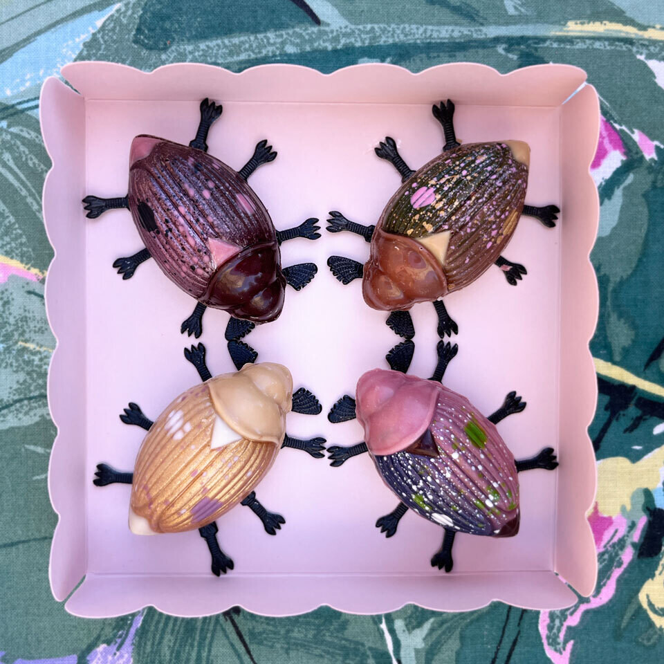 4er Geschenkbox Maikäfer
