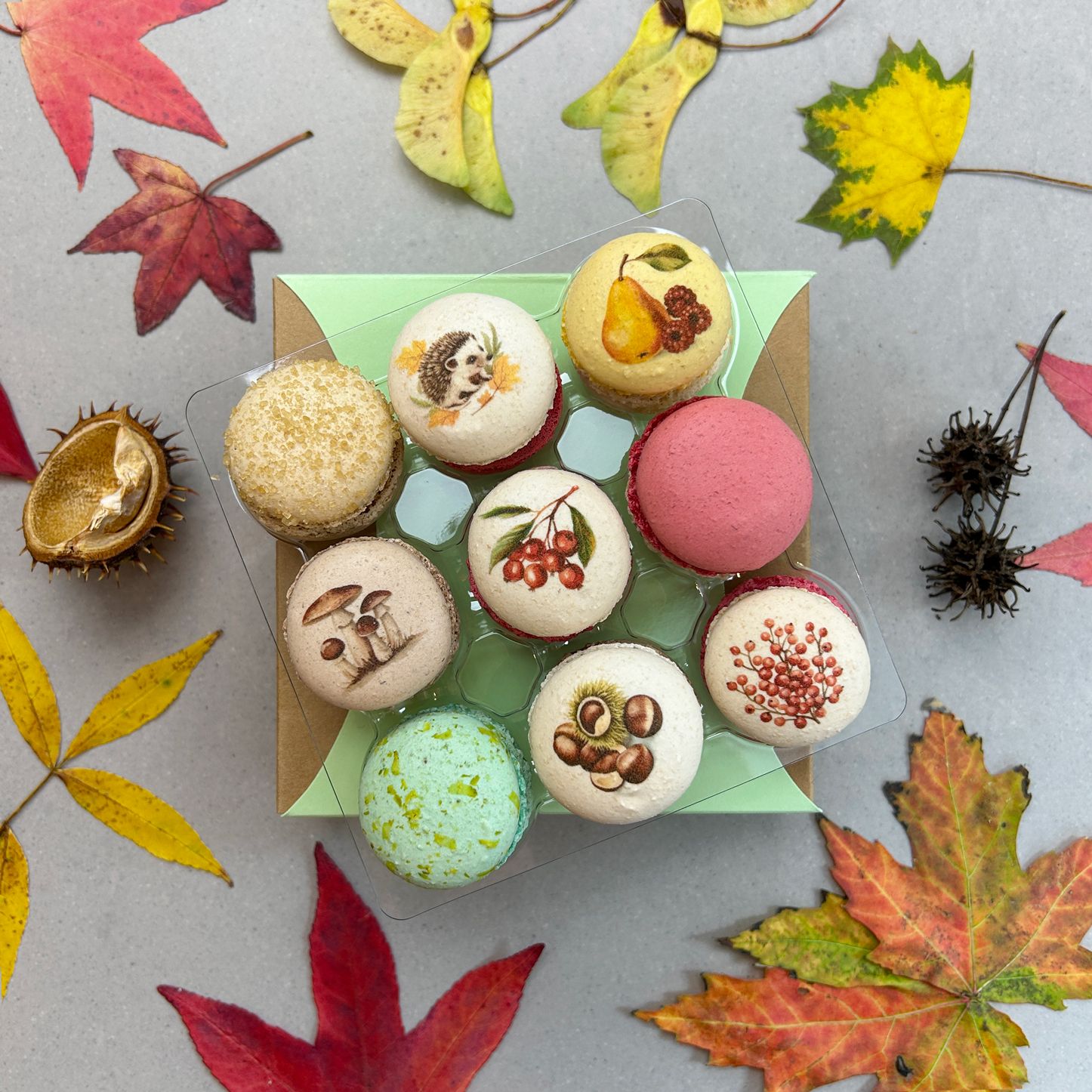 9 Herbst Makrönchen