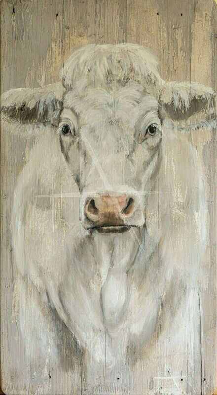de Witte Koe