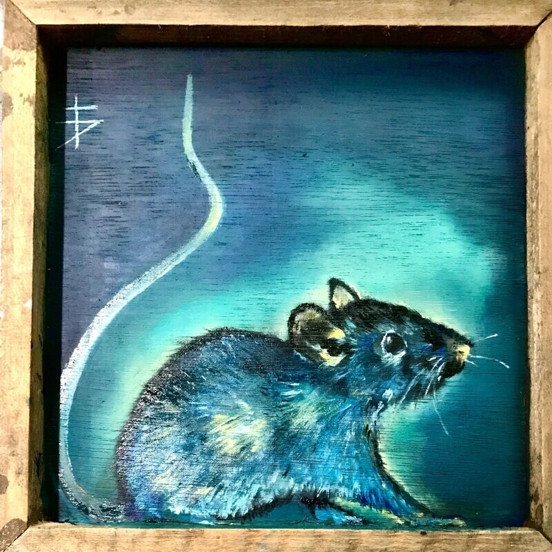 Kleine Muis