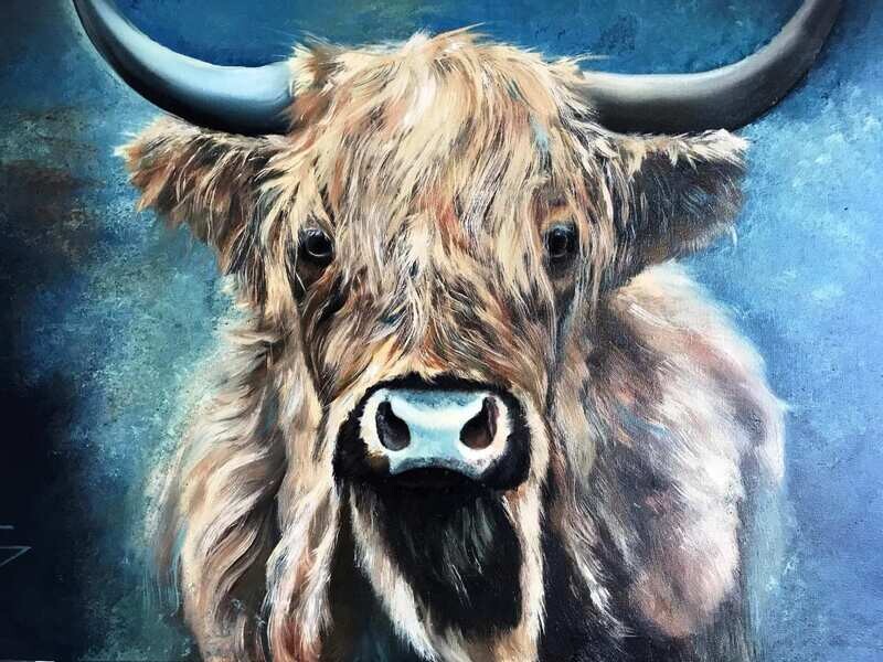 Schotse in het blauw