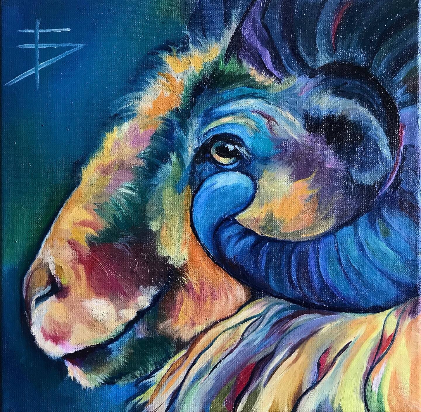 bonte ram