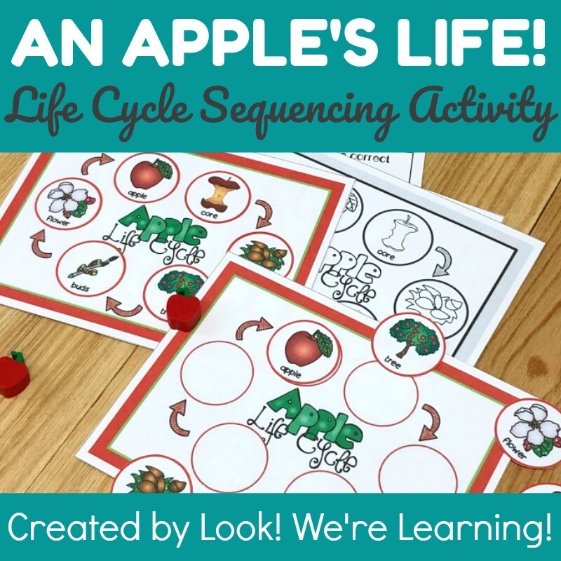Apple Life Cycle Science Sequencing Activity Apple Life Cycle Science Sequencing Activity