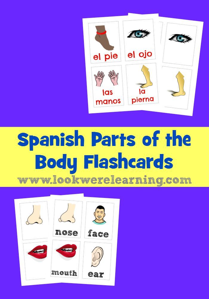 Spanish Parts of the Body Flashcards Spanish Parts of the Body Flashcards