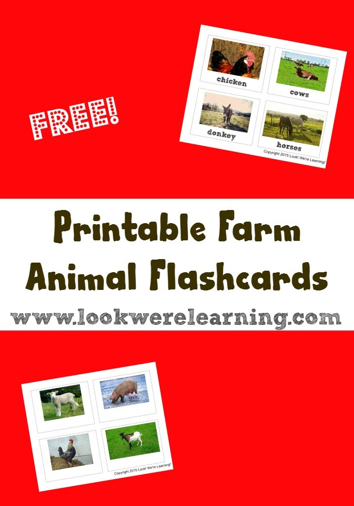 Farm Animal Flashcards Farm Animal Flashcards