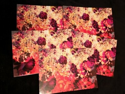 Postkarten Set FLOWERS Rosen
