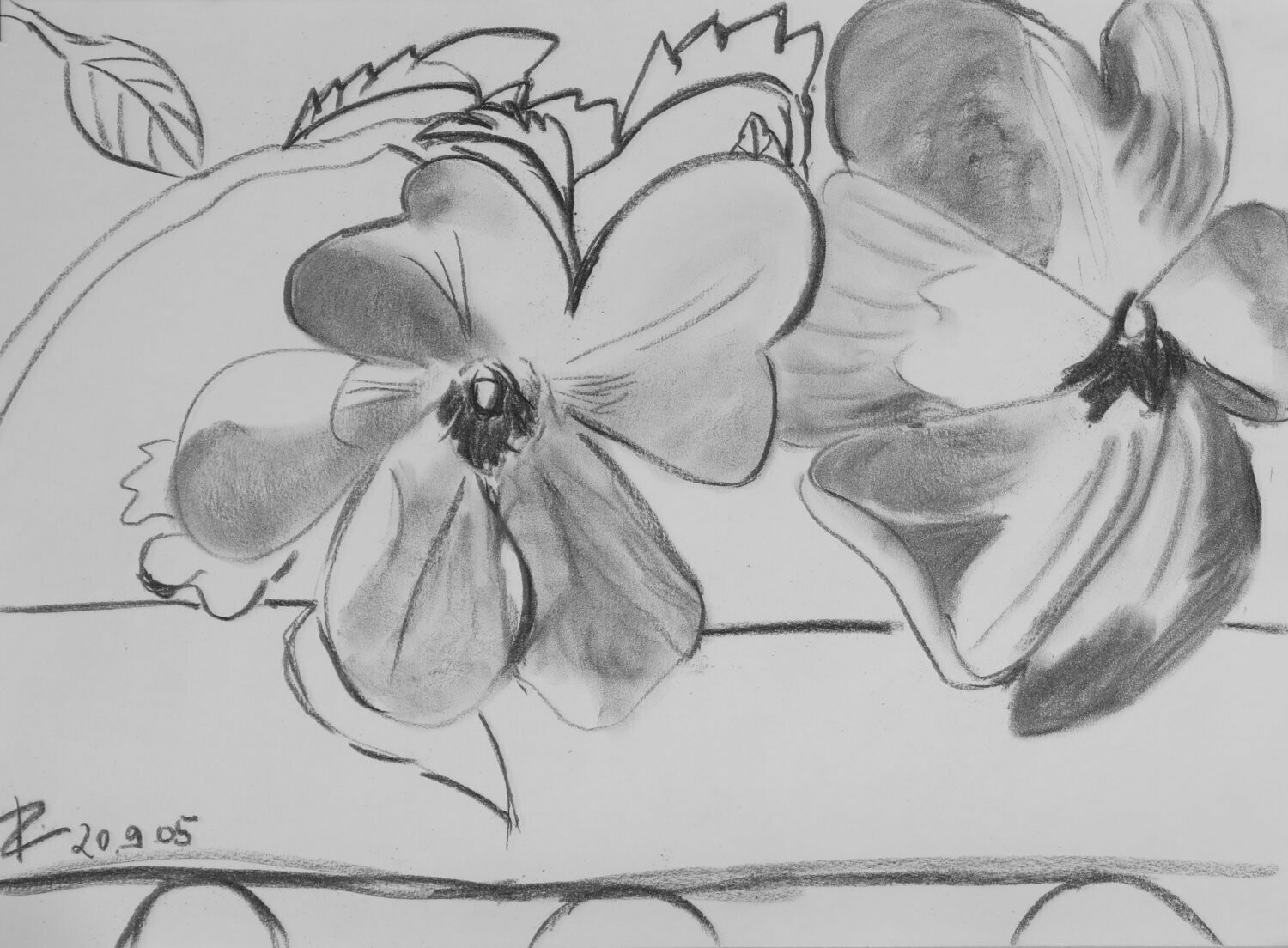 Fotodruck Zeichnung Blüten
