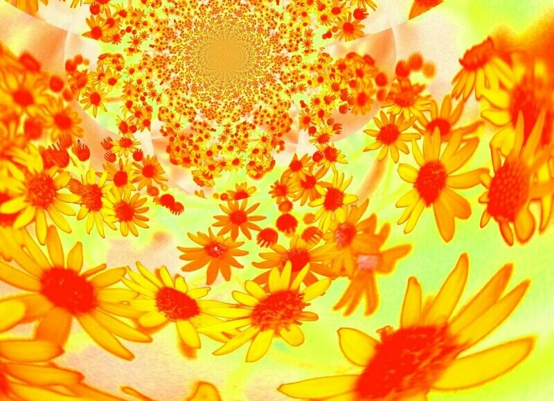 Leinwand FLOWERS Fotogemälde Wiesenblumen