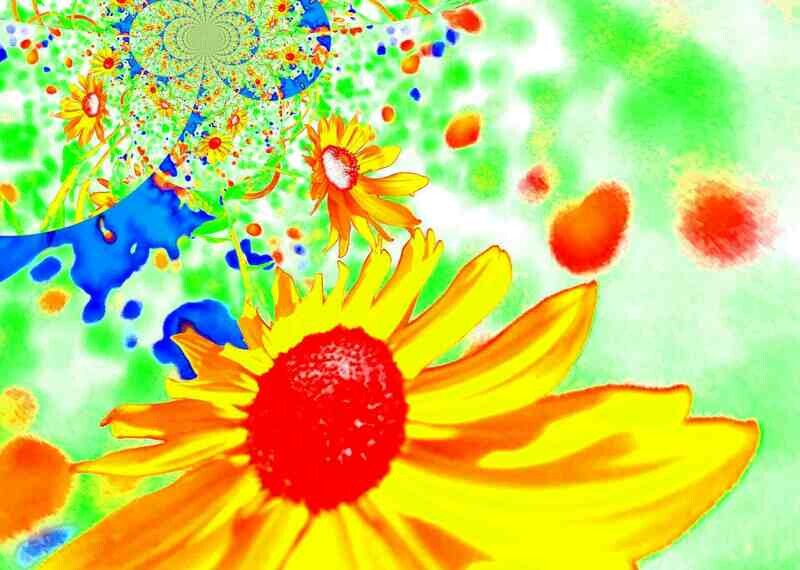 Leinwand FLOWERS Fotogemälde Sonnenblume