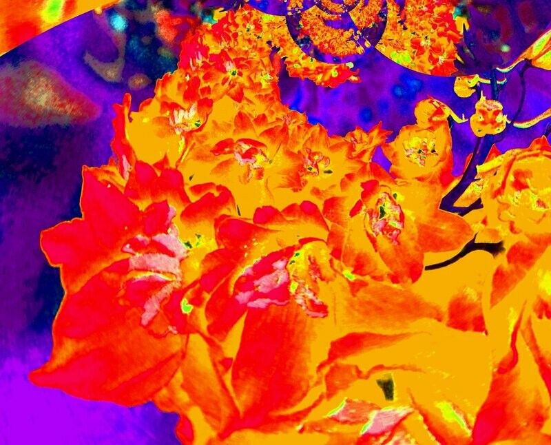 Leinwand FLOWERS Fotogemälde Serie Rittersporn
