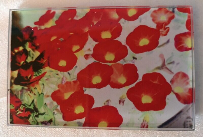 Magnet FLOWERS Minipetunien