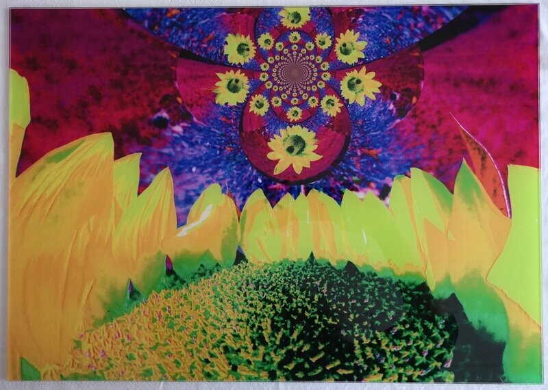 FLOWERS Sonnenblume Ukraine