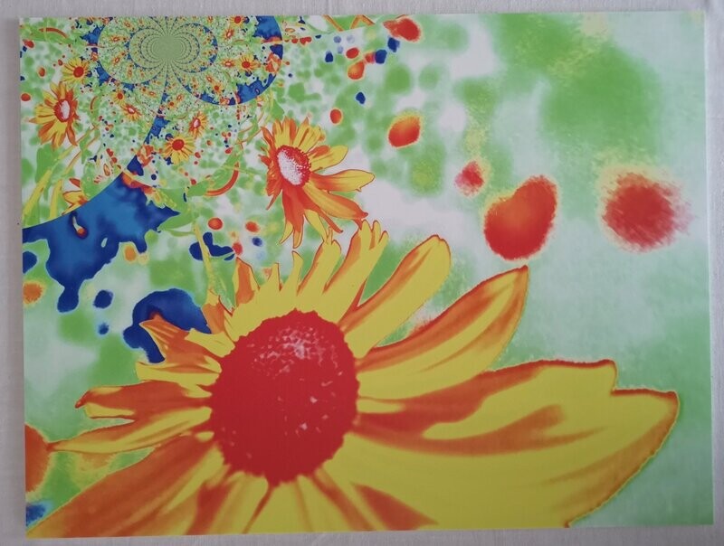 FLOWERS Sonnenblumen Ukraine