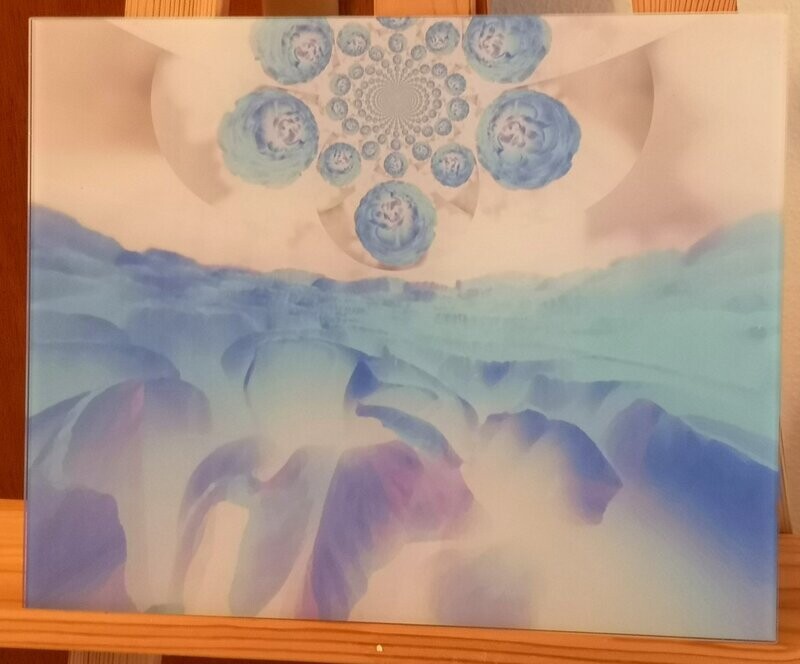 Ranunkel blau FLOWERS Serie