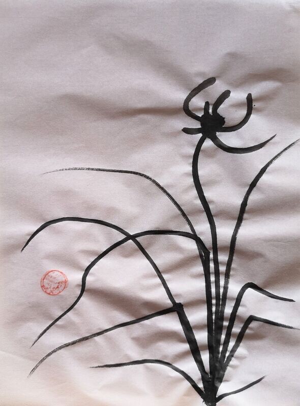 Sumie Wilde Orchidee Hoch 4 2024
