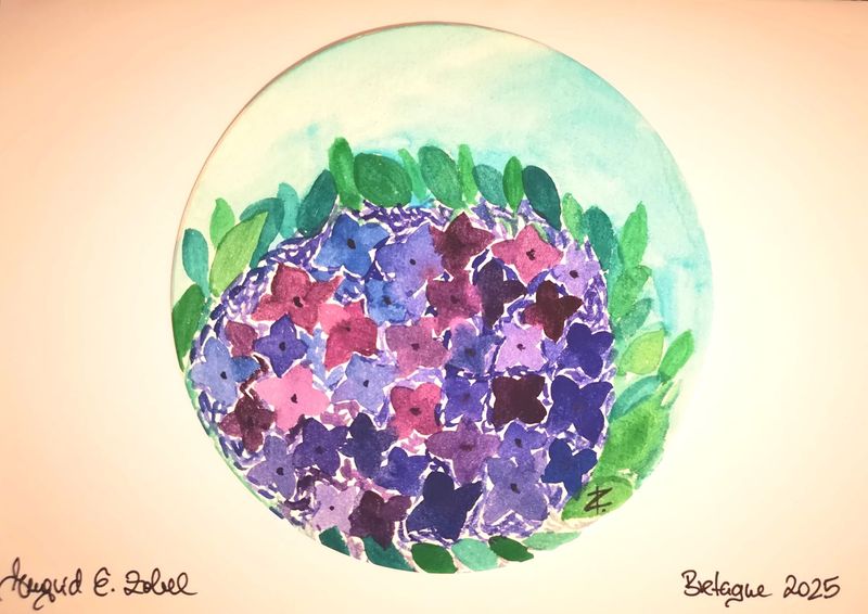 Aquarell Bretagne Hortensie 2 Aquarell Bretagne Hortensie 2