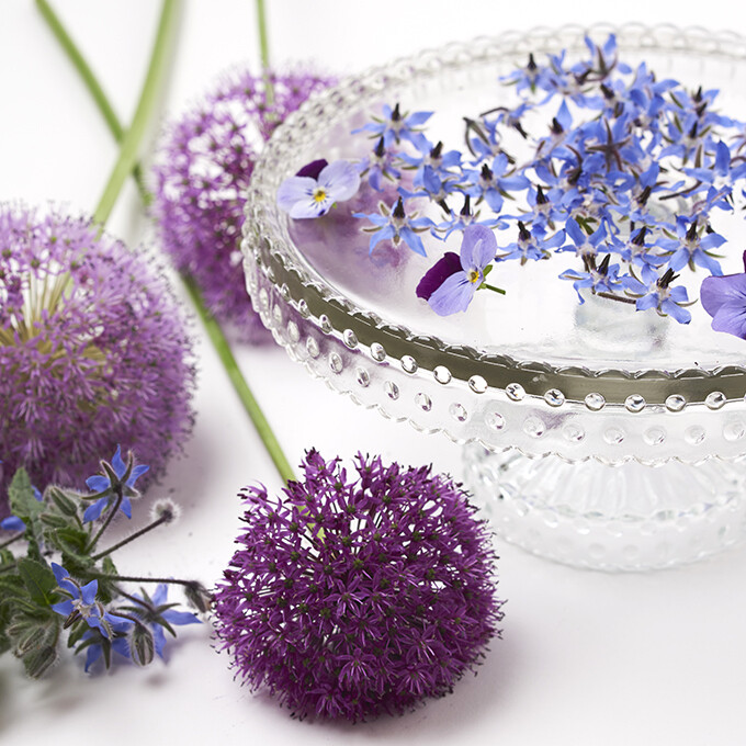 Nature morte fleurs Aliums ©Régis Nardoux