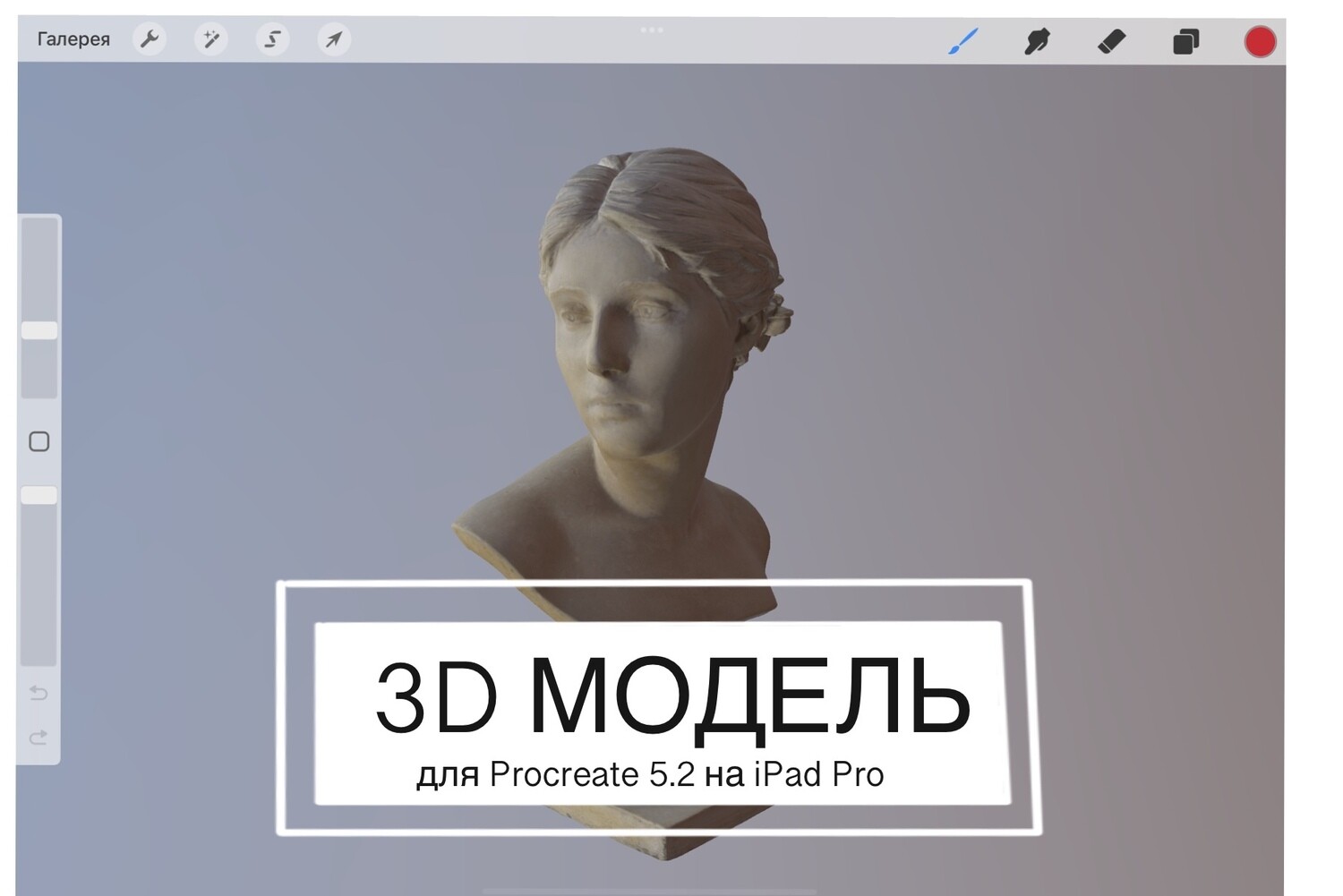 3D модель для Procreate Бюст Róża Loewenfeld