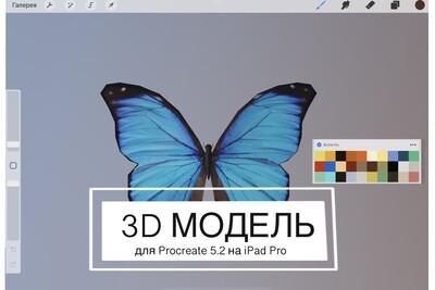 3D модель для Procreate Бабочка + палитра