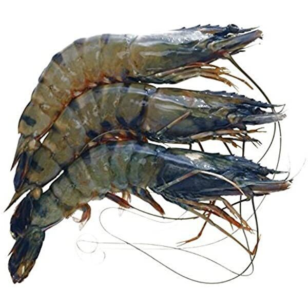 Shrimps, head on, shell on ⋙