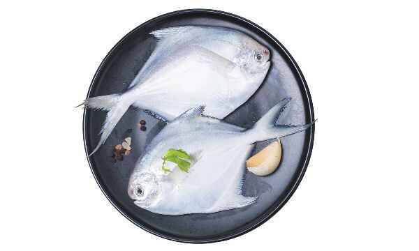 Pomfret / Rupchanda