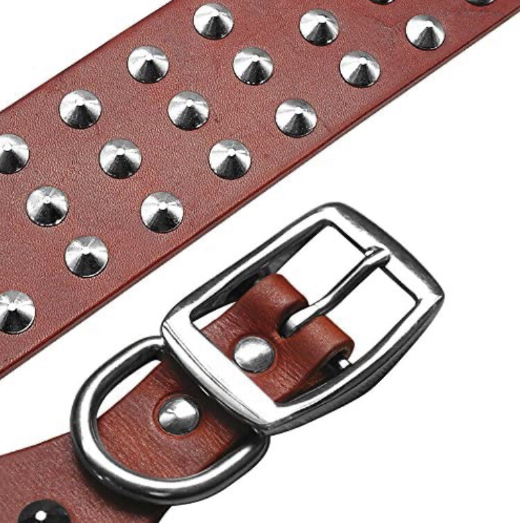 Hard Genuine Leather Dog Collar- طوق كلاب محمل