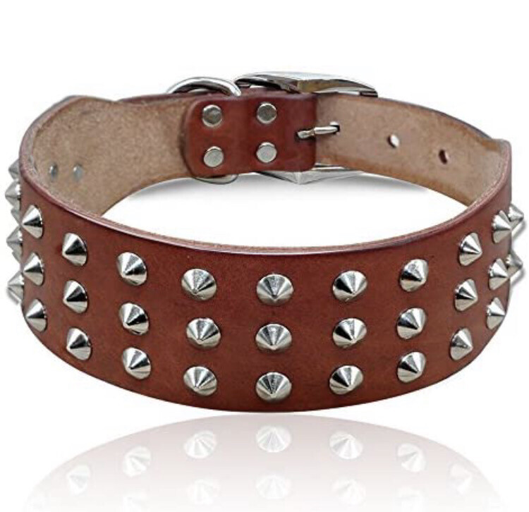 Hard Genuine Leather Dog Collar- طوق كلاب محمل