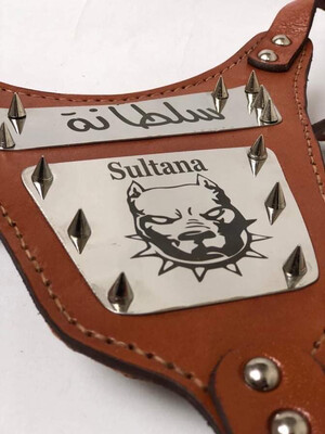  صدريه جلد و اسم وصورة كلبك محفور بالليزر على ستانلس ستيل مطعم ب شوك معدنية