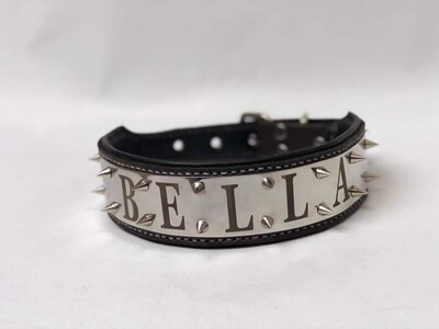 طوق كلاب مغطي بالاستانلييستيل ومكتوب عليه اسم الكلب Leather Dog Coller