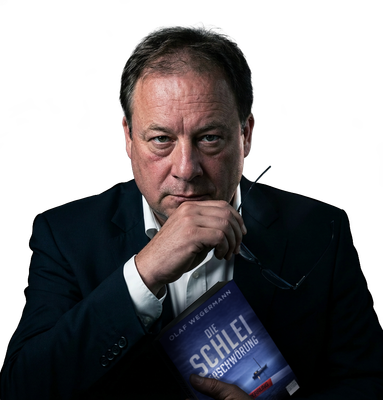 E-Book Die Schlei-Verschwörung