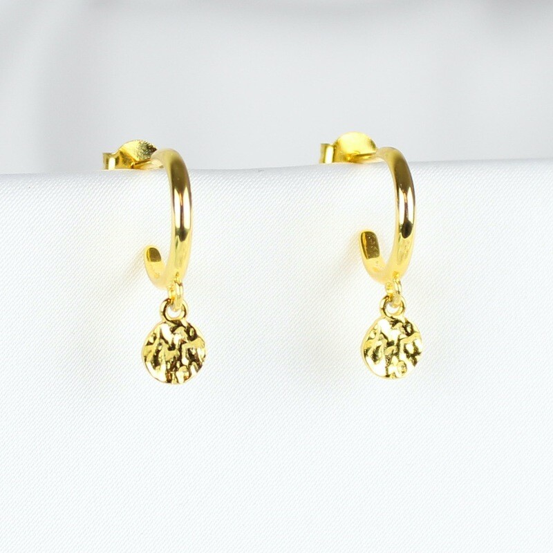 Mønt vedhæng øreringe