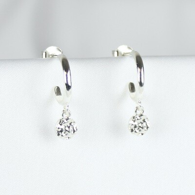 Sølv mønt øreringe