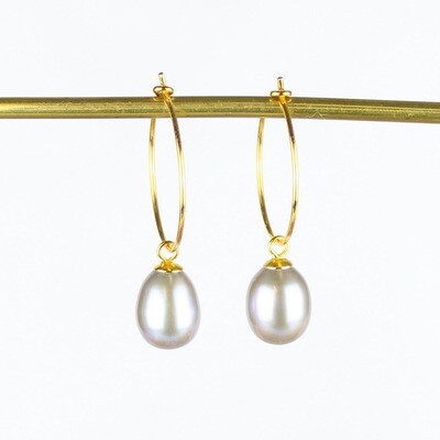 Hoops m. grå ferskvandsperler (forgyldt)